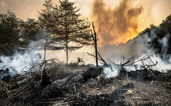 Оценка ущерба после стихийного бедствия в Казани: отчет оценщика